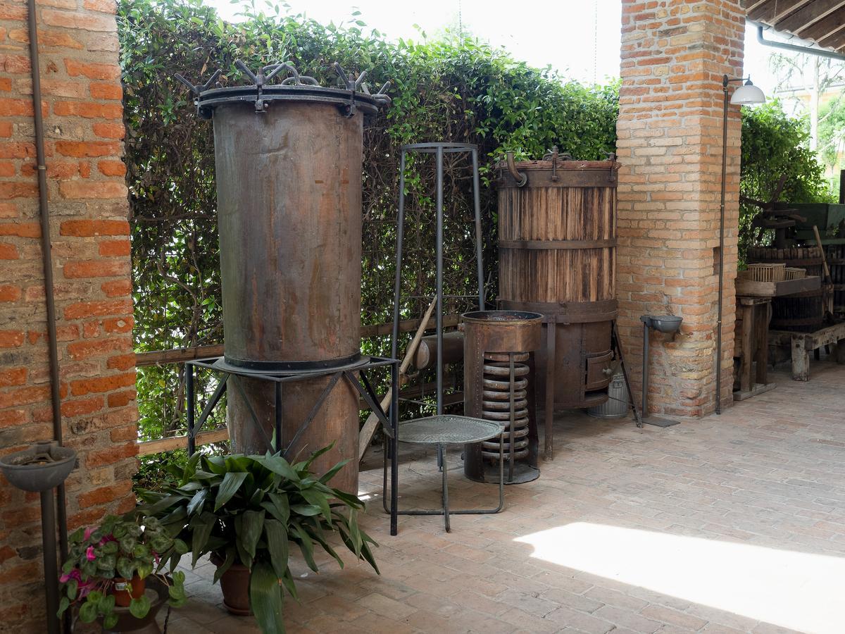Agriturismo Il Palazzone Montegalda Exterior foto